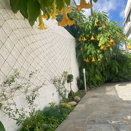 Alishome, Elegante Trilocale Con Vista Mare E Giardino Appartamento Sanremo