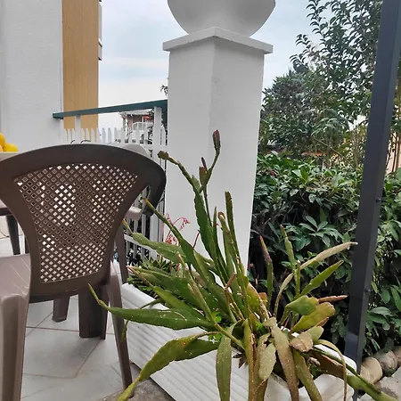 Alishome, Elegante Trilocale Con Vista Mare E Giardino * Sanremo