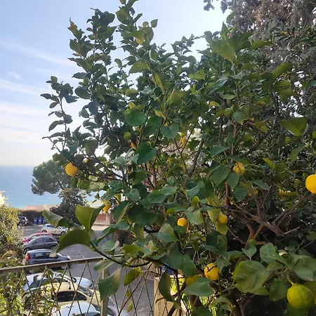 Alishome, Elegante Trilocale Con Vista Mare E Giardino
