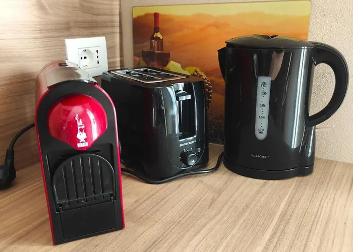 Apartament Alishome,